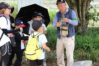 自然観察会の様子です。