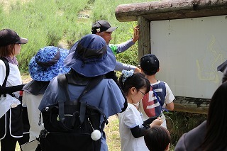 自然観察会の様子です。