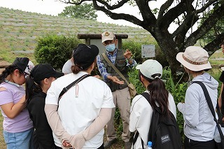 自然観察会の様子です。